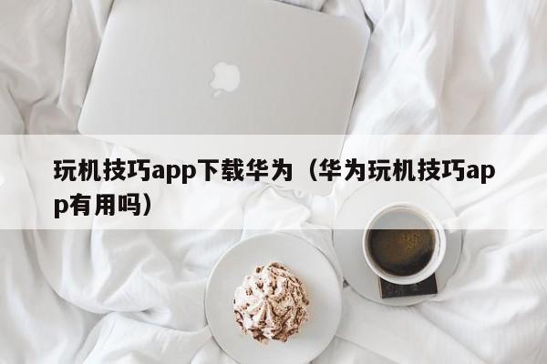 玩机技巧app下载华为（华为玩机技巧app有用吗）