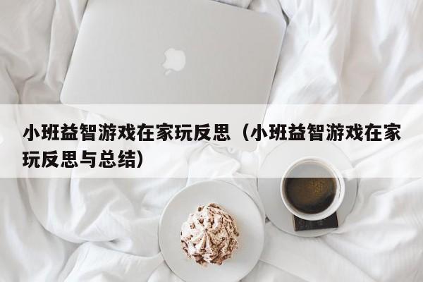 小班益智游戏在家玩反思（小班益智游戏在家玩反思与总结）