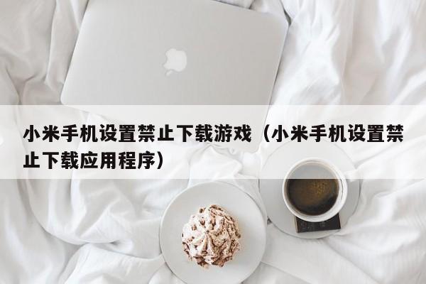 小米手机设置禁止下载游戏（小米手机设置禁止下载应用程序）