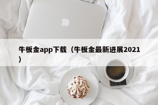 牛板金app下载（牛板金最新进展2021）
