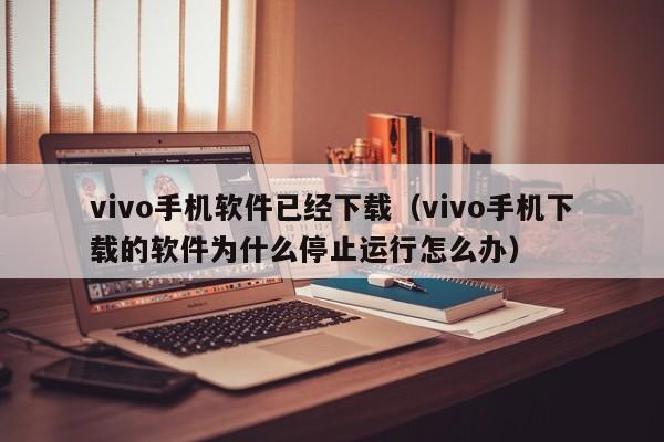 vivo手机软件已经下载(vivo手机下载的软件为什么停止运行怎么办)