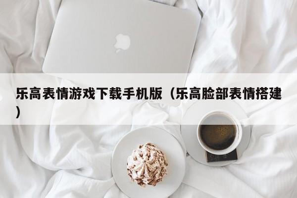 乐高表情游戏下载手机版（乐高脸部表情搭建）