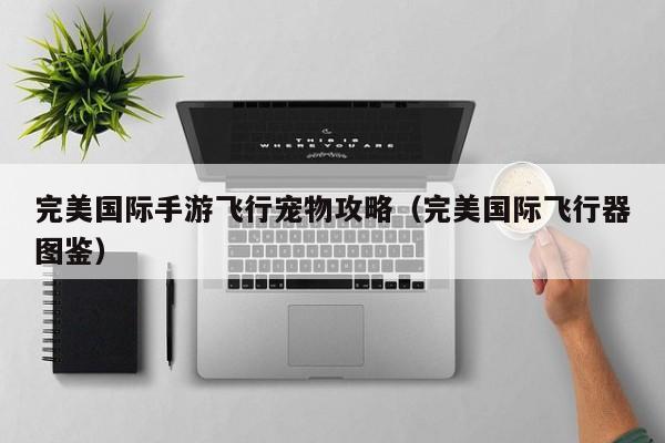 完美国际手游飞行宠物攻略（完美国际飞行器图鉴）