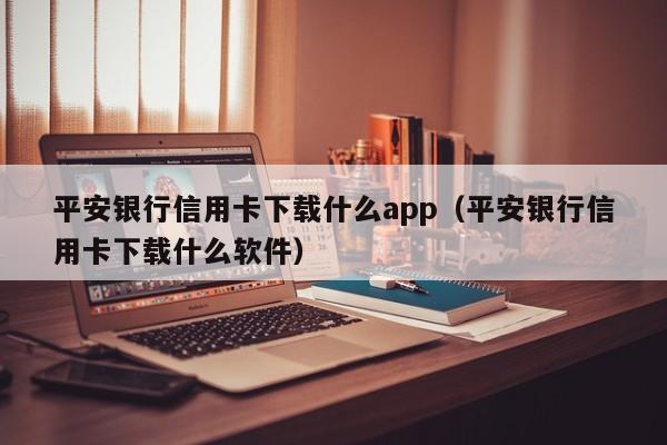平安银行信用卡下载什么app(平安银行信用卡下载什么软件)