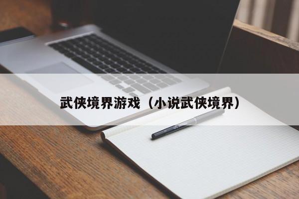 武侠境界游戏（小说武侠境界）