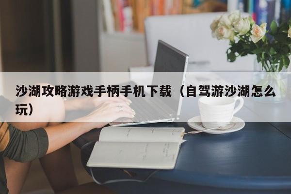 沙湖攻略游戏手柄手机下载（自驾游沙湖怎么玩）