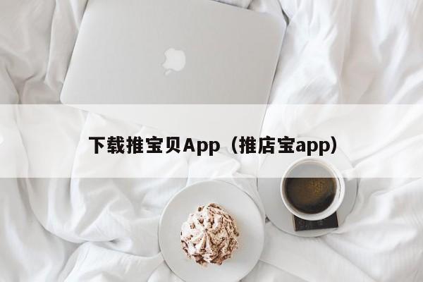 下载推宝贝App（推店宝app）